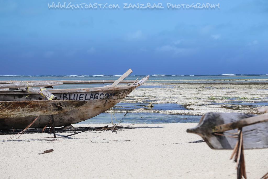 Albatross Ocean View Otel Dongwe Dış mekan fotoğraf