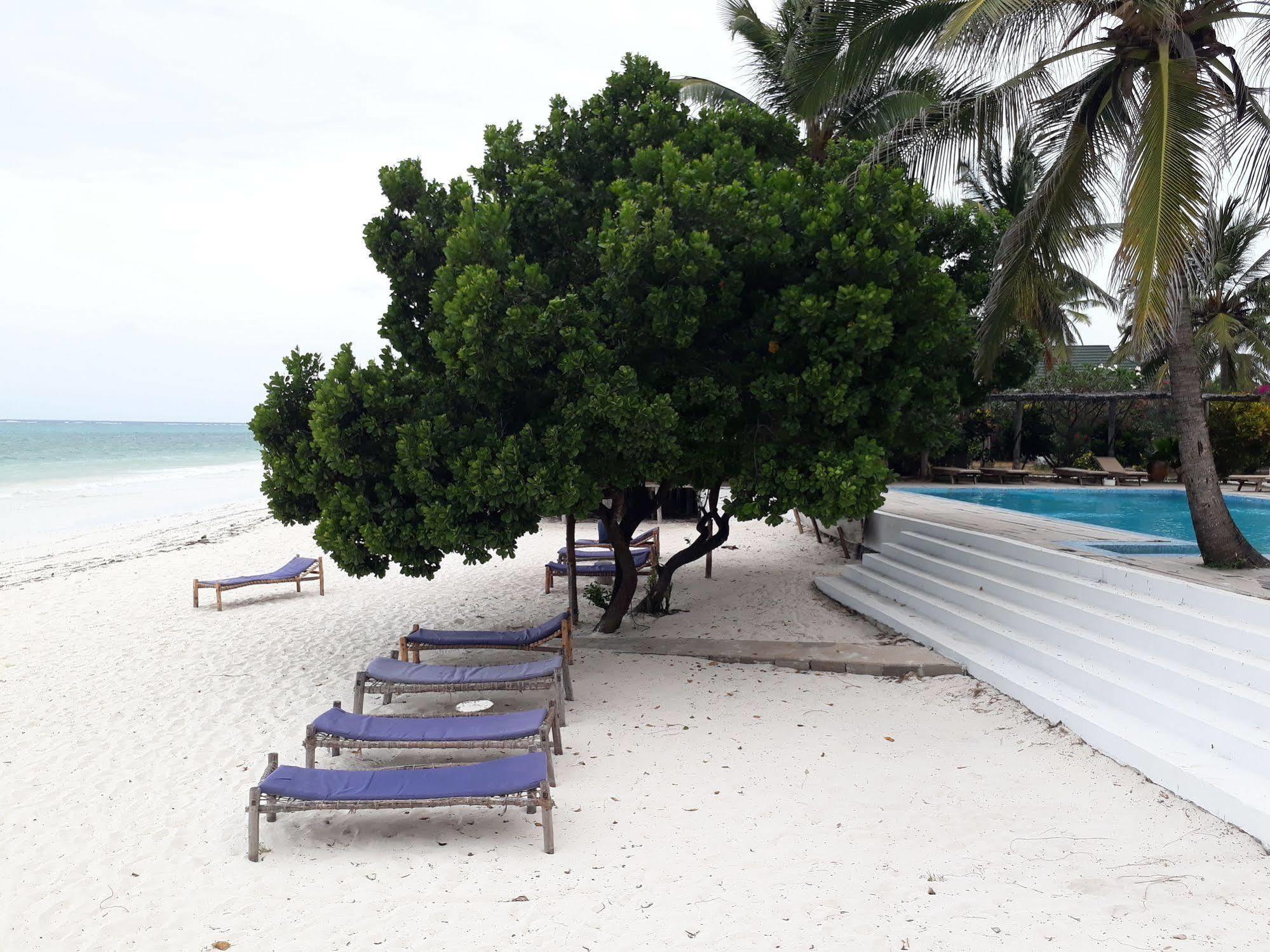 Albatross Ocean View Otel Dongwe Dış mekan fotoğraf